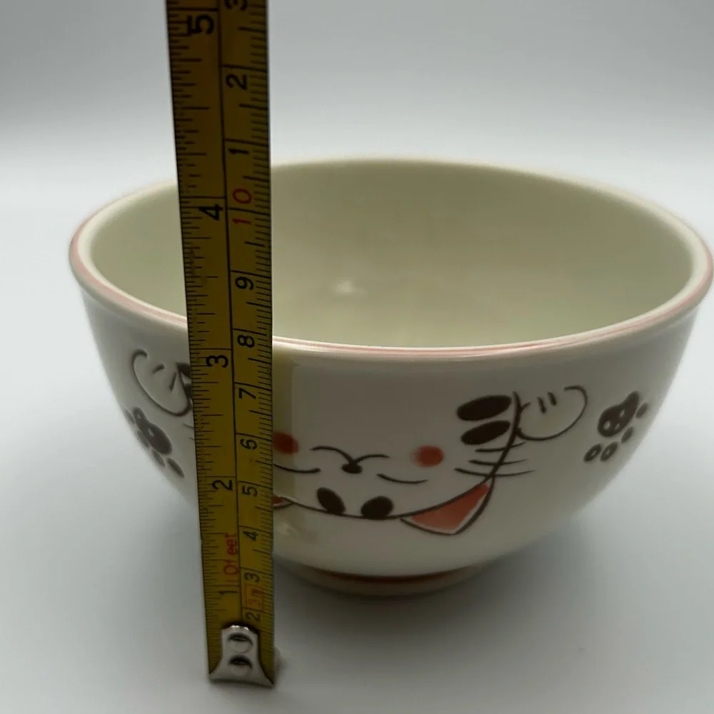 Kafuh Mino Ware Japanese Ceramic Ramen Rice Bowl 5